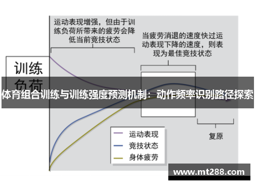 体育组合训练与训练强度预测机制：动作频率识别路径探索